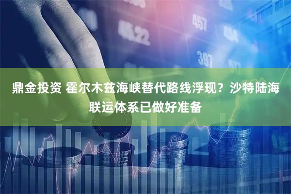 鼎金投资 霍尔木兹海峡替代路线浮现？沙特陆海联运体系已做好准备