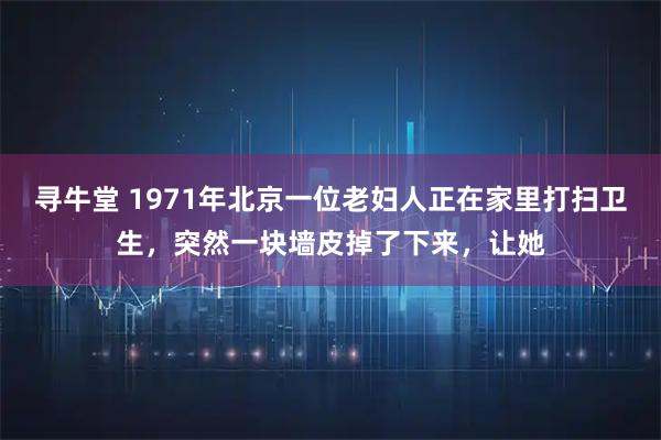寻牛堂 1971年北京一位老妇人正在家里打扫卫生，突然一块墙皮掉了下来，让她