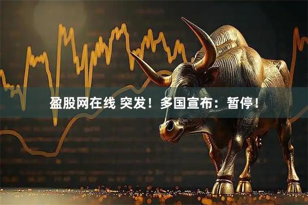 盈股网在线 突发！多国宣布：暂停！